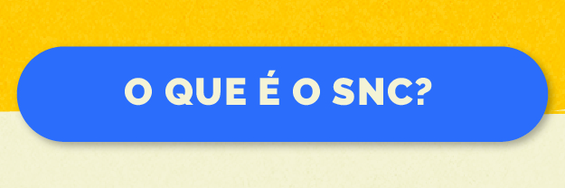 O QUE É O SNC?