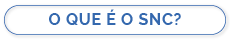 O QUE É O SNC?