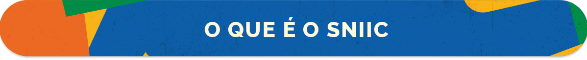 O QUE É O SNIIC