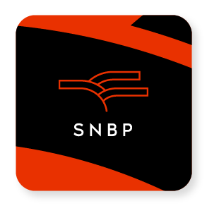 Sistema Nacional de Bibliotecas Públicas