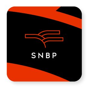 Sistema Nacional de Bibliotecas Públicas