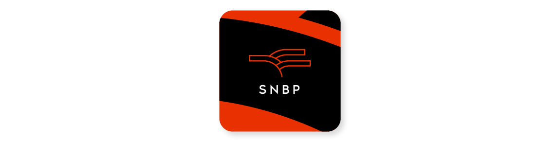 Sistema Nacional de Bibliotecas Públicas 2