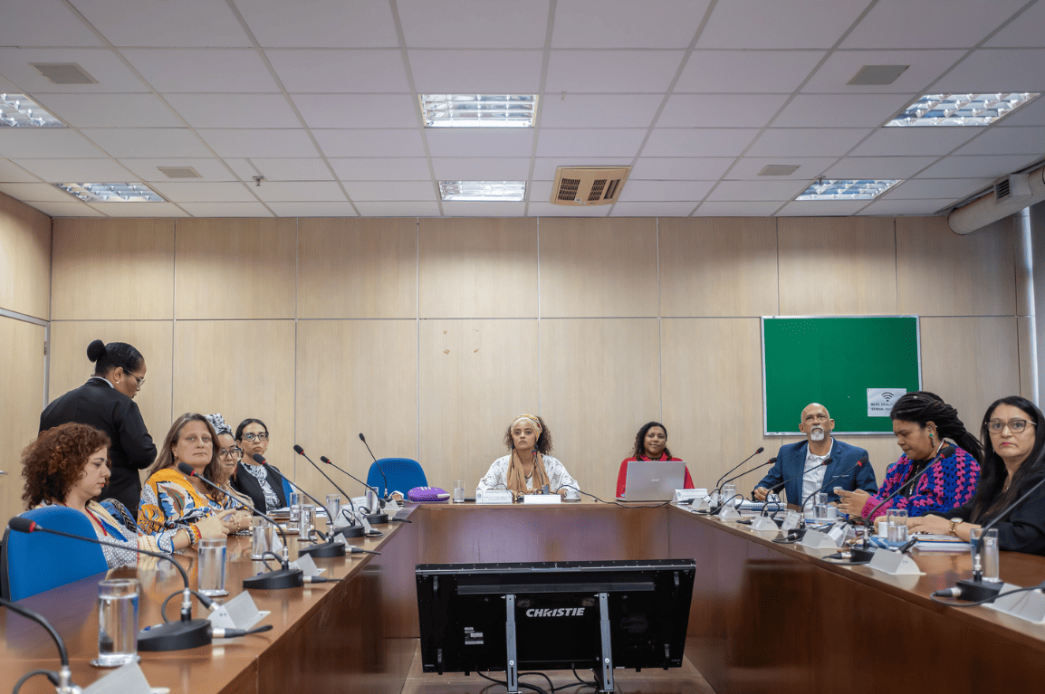 Comitê de Gênero, Raça e Diversidade do MinC apresenta iniciativas para o Programa Federal de Ações Afirmativas