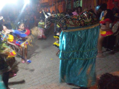 DF_Brasília - Boi de Itapoã.jpg