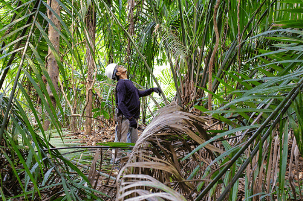 Cultura e Meio Ambiente celebram acordo para fortalecer povos e comunidades tradicionais