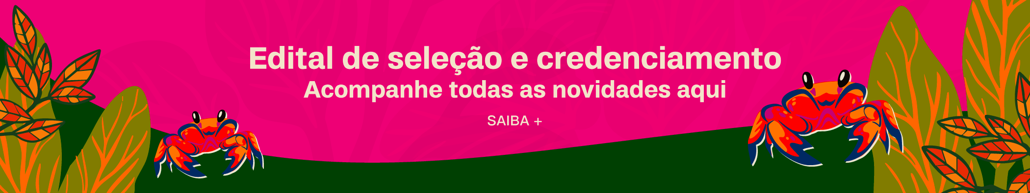 Edital de Programação