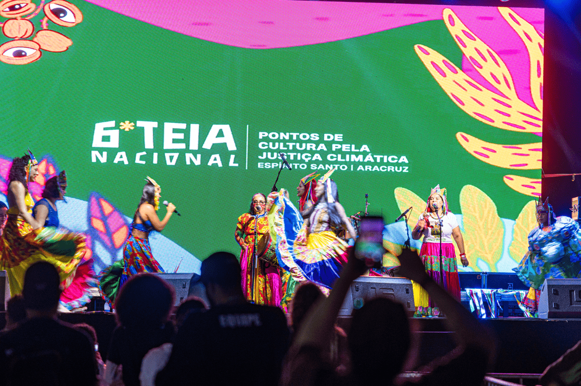 Jabuti Bumbá foi um dos grupos que participou do cortejo de abertura da Teia Nacional dos Pontos de Cultura - Foto Thais Gobbo