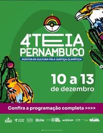 Teia Pernambuco
