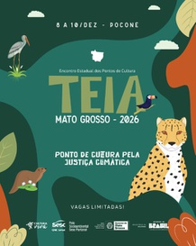 Teia Mato Grosso
