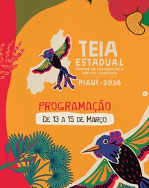 Teia Piauí