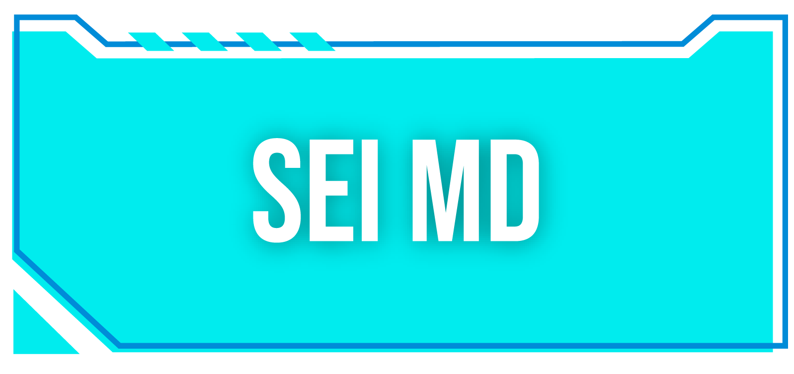SEI-Site_SEI MD.png