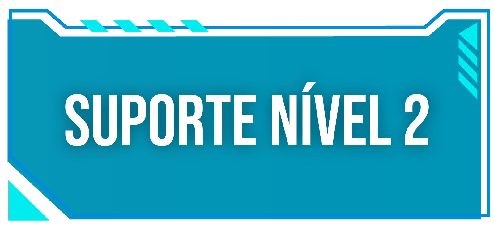 Suporte Nível 2