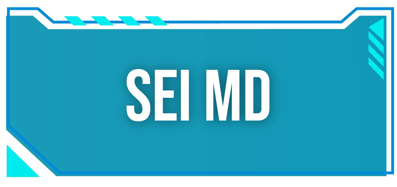 SEI MD