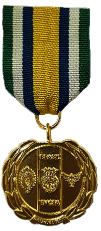 Imagem da Medalha para a Página.png