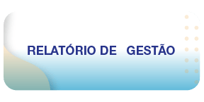 Relatório de Gestão 2.png