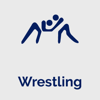 wrestling.png