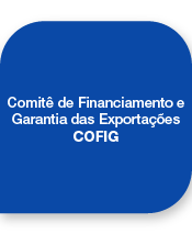 Comitê de Financiamento e Garantia das Exportações - COFIG