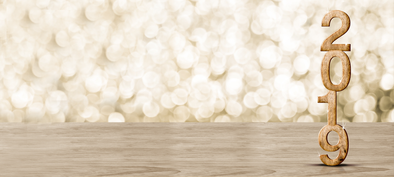 Instituto Pandiá Calógeras realizações, restruturação e planejamento para 2019.png