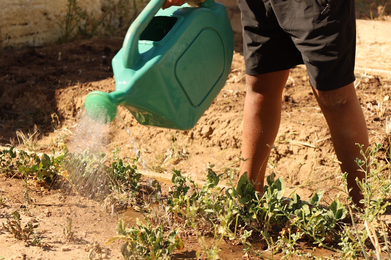 Atividades de agroecologia foi voltada para crianças do município // Foto: Pedro Guerrazzi