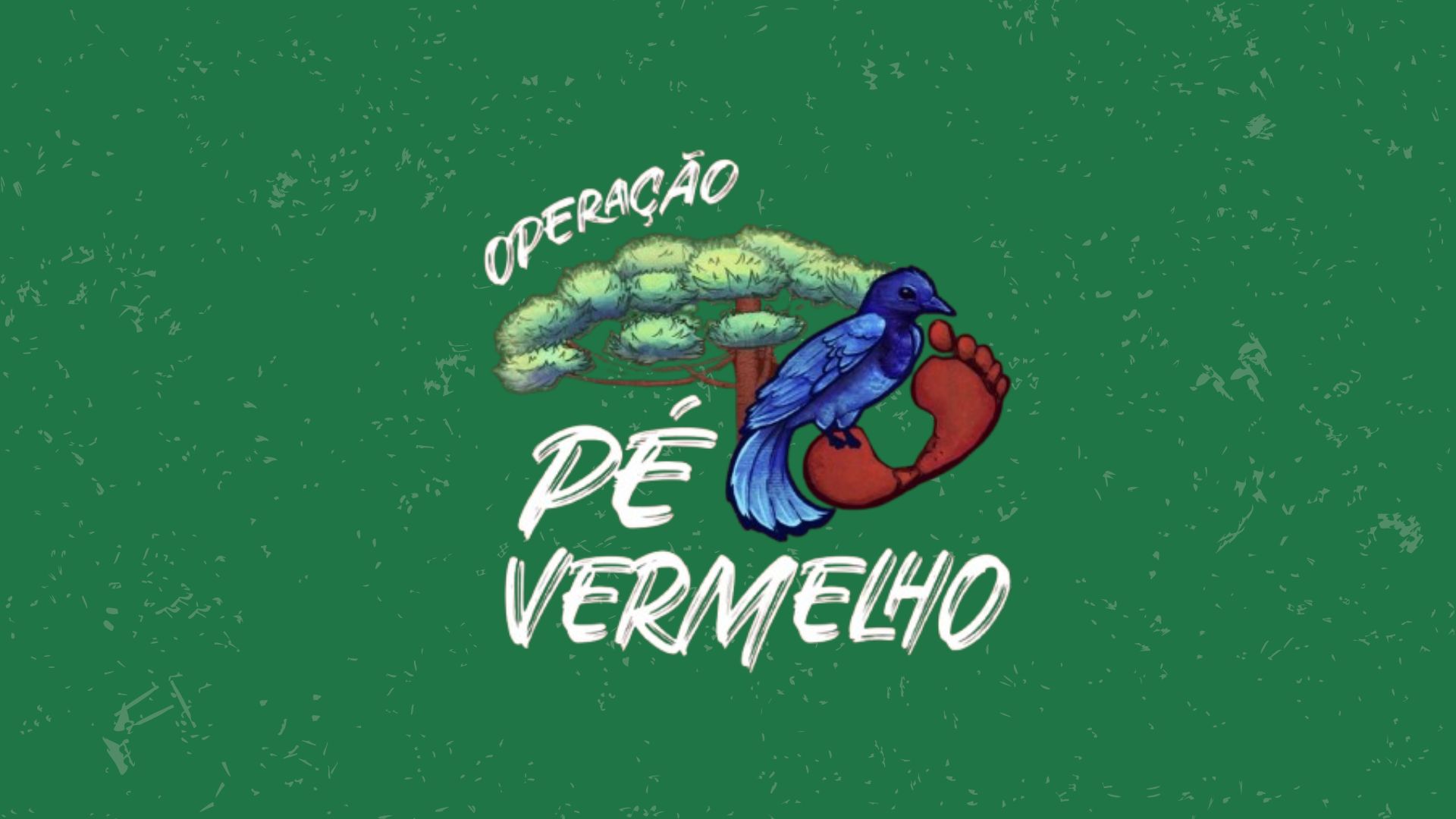 Operação Pé Vermelho - Vídeo de encerramento