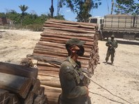 Ações de repressão a delitos ambientais são reforçadas na Amazônia Legal
