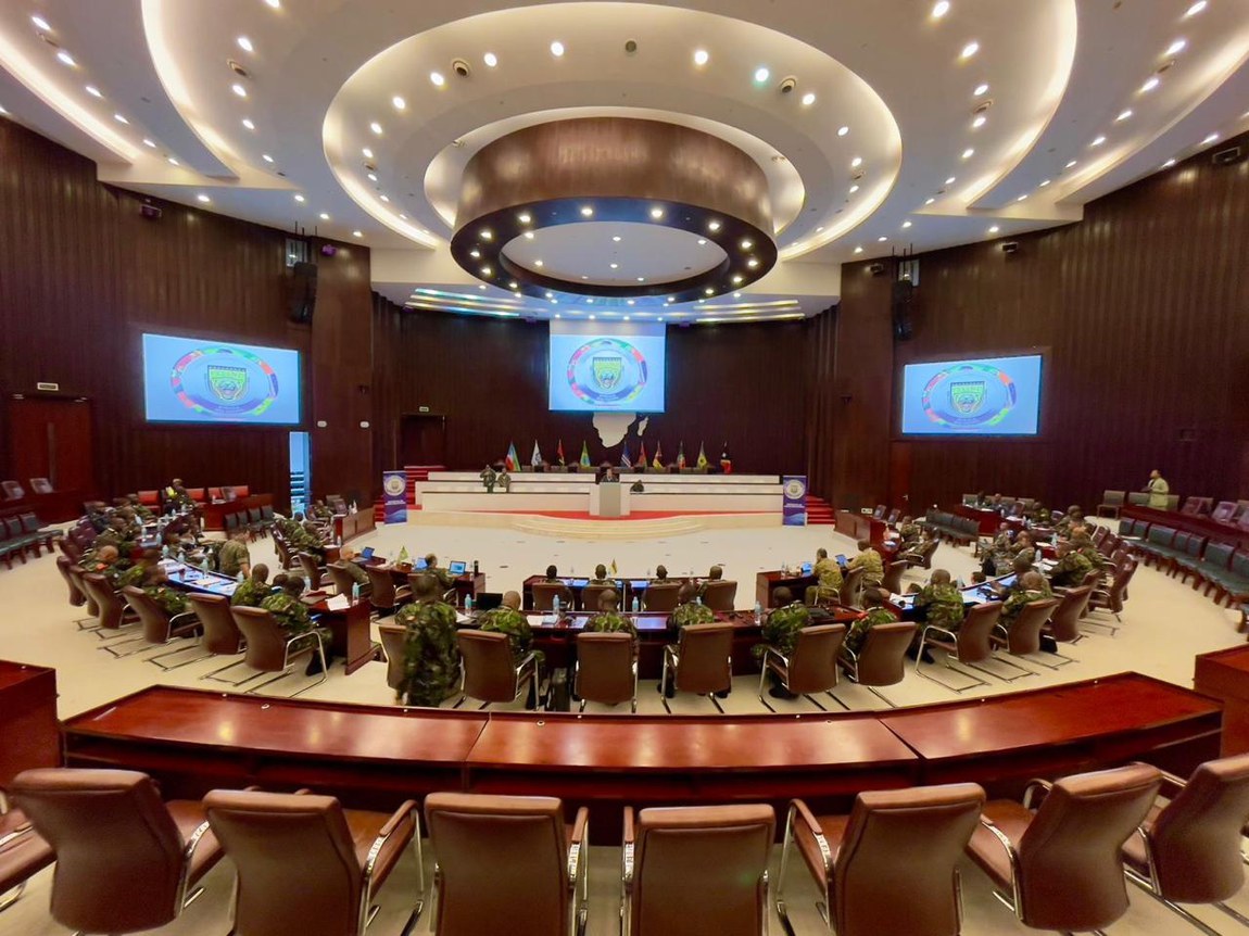 20252708 Felino abaixo.jpg