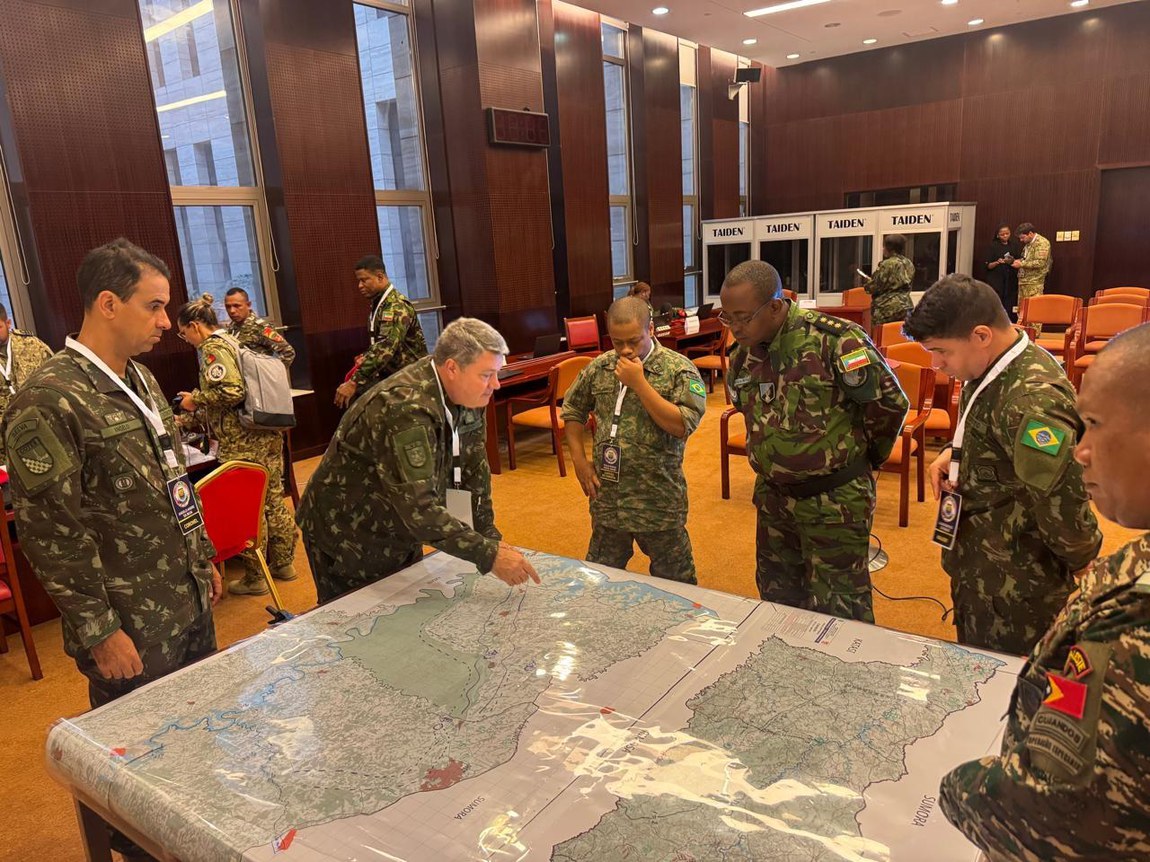 20252708 Felino acima.jpg