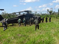 Comandos Conjuntos apoiam ações de fiscalização contra delitos ambientais durante Operação Verde Brasil 2