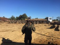 Comandos Conjuntos atuam na fiscalização contra delitos ambientais e no combate ao novo coronavírus