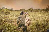 Defesa dá continuidade ao combate a focos de incêndio no Pantanal e a delitos ambientais na Amazônia Legal