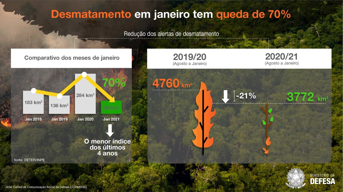 grafico-desmatamento vs2-site (1).jpg