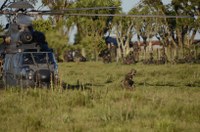 Exercício das Forças Armadas soma 230 ações operacionais e logísticas conjuntas