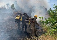 Forças Armadas combatem focos de incêndio na Floresta Nacional e em terras indígenas