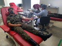 Forças Armadas continuam ações nas Operações Covid-19 e Verde Brasil 2