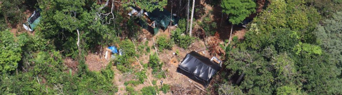 Forças Armadas e agências federais destroem helicóptero e detêm piloto em operação contra garimpo ilegal na terra indígena Yanomami