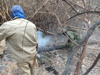 Guerra contra incêndios no Pantanal emprega 14 aeronaves