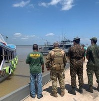 Madeira ilegal e aeronaves são apreendidas em operações na Amazônia Legal