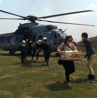 Marinha apoia ONG no resgate a animais silvestres na Operação Pantanal