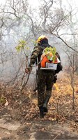 Militares atuam em diversas ações de combate a focos de incêndio no Pantanal