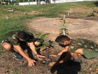 Militares da Brigada participam de plantio de mudas frutíferas