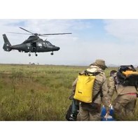 Militares estão concentrados no combate a incêndios em Mato Grosso