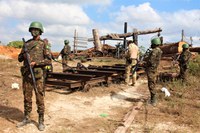 Militares prosseguem empenhados no combate a delitos ambientais