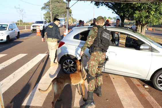 2026.07.23 Tamandataí 3.jpg