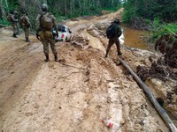 Militares apreendem madeira ilegal na Amazônia em ação da Operação Verde Brasil 2