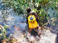 Patrulhas aéreas e motorizadas auxiliam na identificação e no combate a incêndios