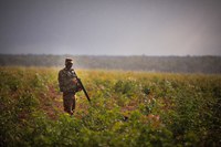 Defesa dá sequência a ações de preservação e proteção da Amazônia Legal