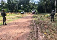 No Amazonas, Operação Verde Brasil 2 apreende carga de animais silvestres