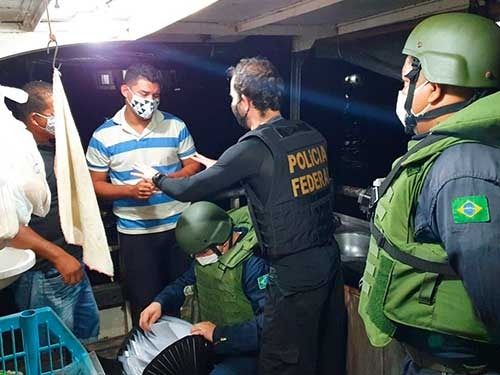 Operação Verde Brasil 2 completa 15 diasFoto01.jpeg