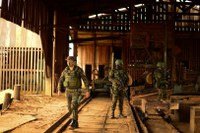 Verde Brasil 2 completa 210 dias com queda no desmatamento e aprovação da opinião pública