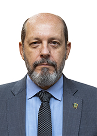 Marcelo Martins Pimentel